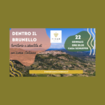 brunello